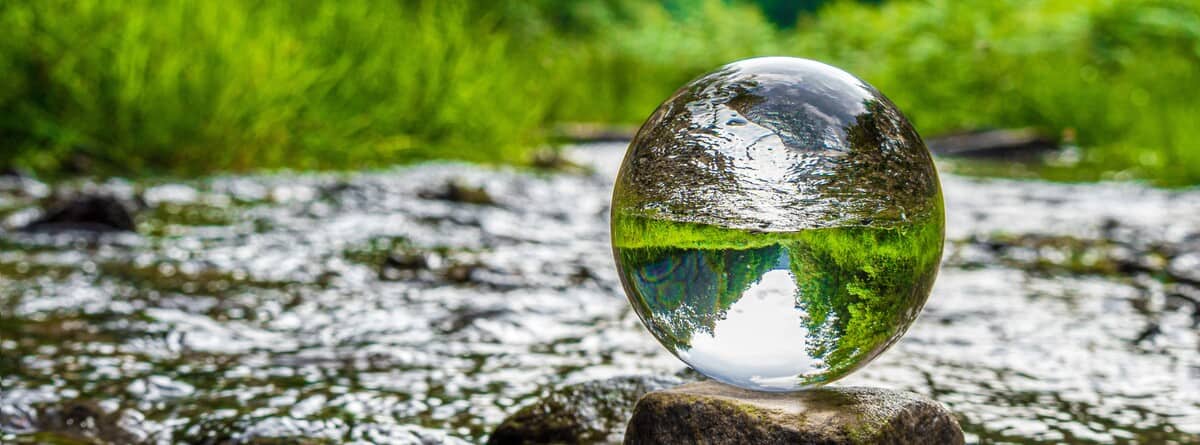 small businesses afford net zero